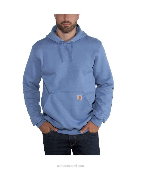 alppisininen kanerva miehet Carhartt löysä istuvuus, keskipainoinen logohihainen graafinen collegepaita 4NNJ38