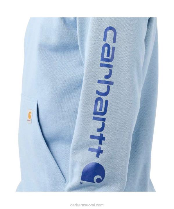 alppisininen kanerva miehet Carhartt löysä istuvuus, keskipainoinen logohihainen graafinen collegepaita 4NNJ38